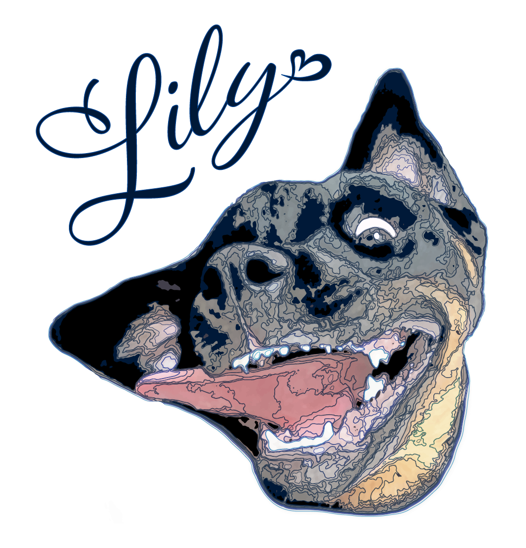 Images of ./Lily.png