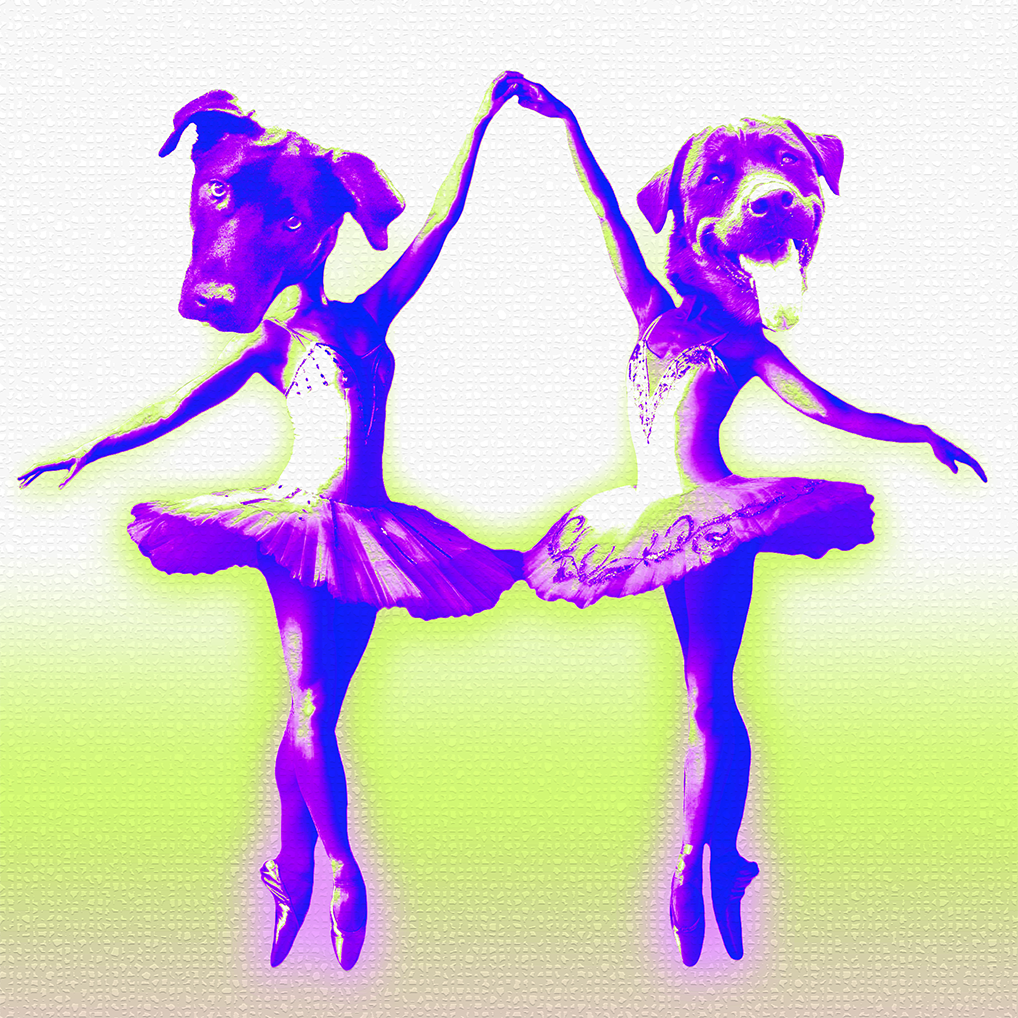 Images of ./Two_ballerinas_0305x.png